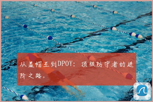 从盖帽王到DPOY：顶级防守者的进阶之路。