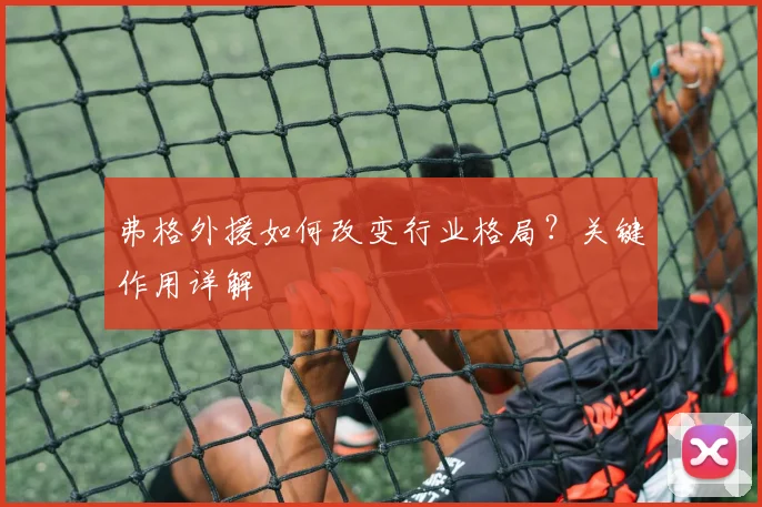 弗格外援如何改变行业格局？关键作用详解