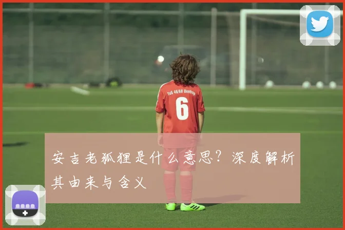 安吉老狐狸是什么意思？深度解析其由来与含义